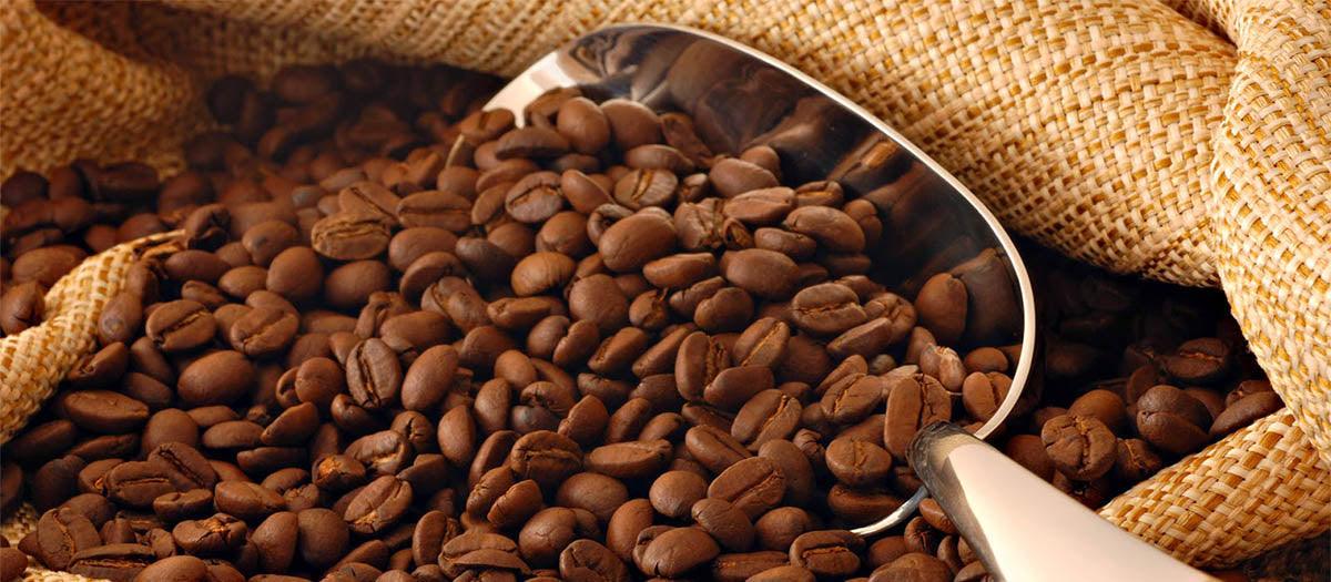 Everything You Need to Know About Arabica Coffee - Blackout Coffee Co